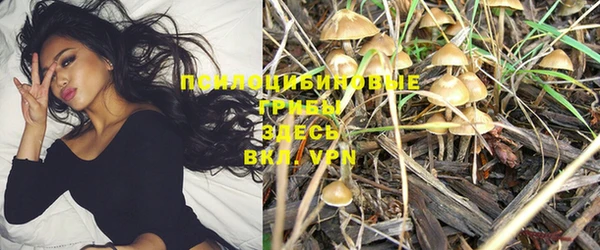 ПСИЛОЦИБИНОВЫЕ ГРИБЫ Балахна