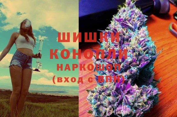 ПСИЛОЦИБИНОВЫЕ ГРИБЫ Балахна