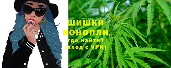 ПСИЛОЦИБИНОВЫЕ ГРИБЫ Балахна