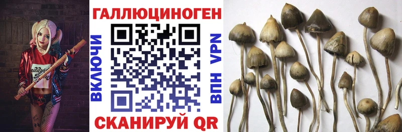Псилоцибиновые грибы MAGIC MUSHROOMS  Альметьевск 